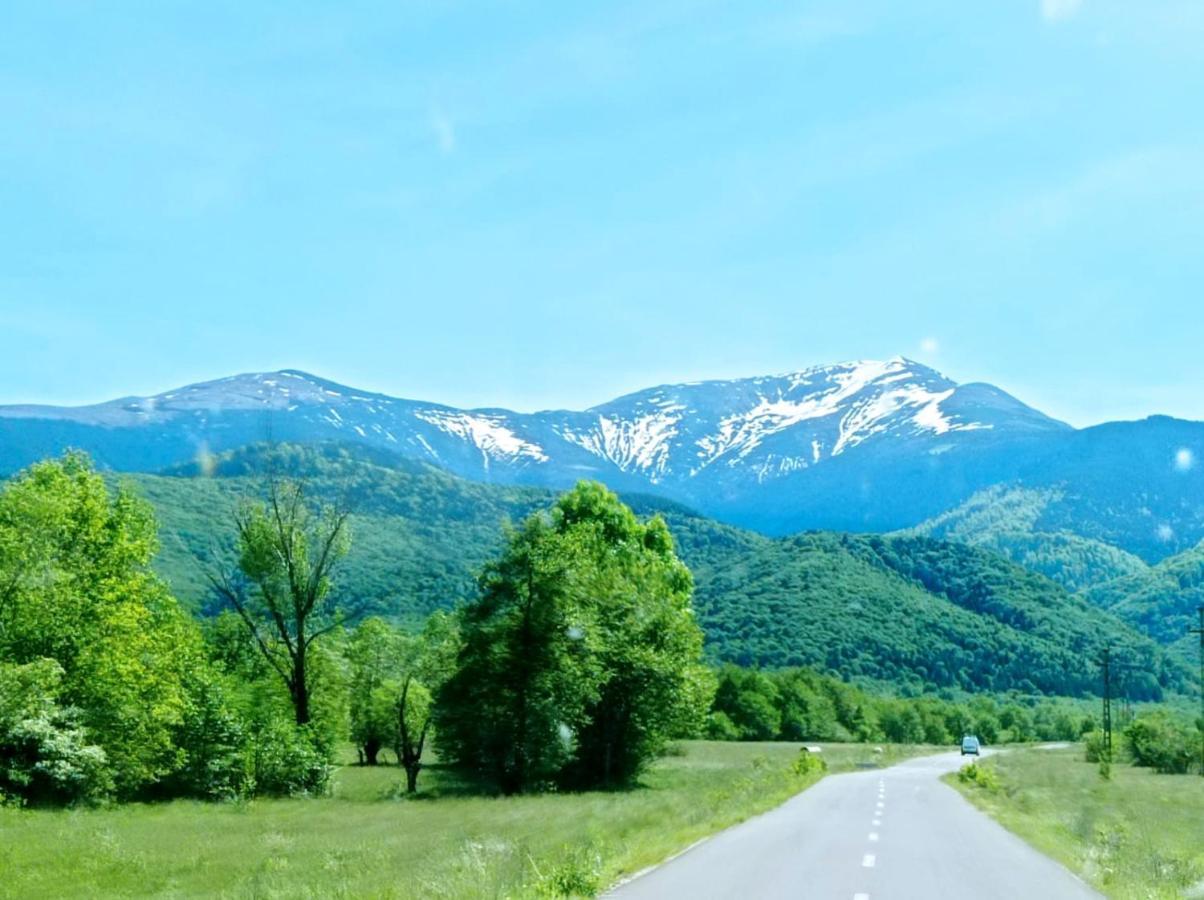 Pensiunea Valea Lisei Lisa Exterior foto